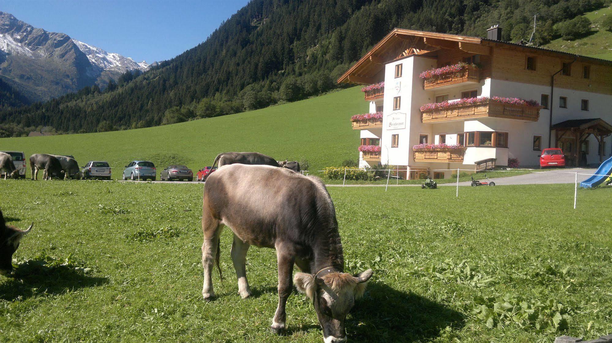 Alfaierhof-Bergheimat Hotell Gschnitz Exteriör bild