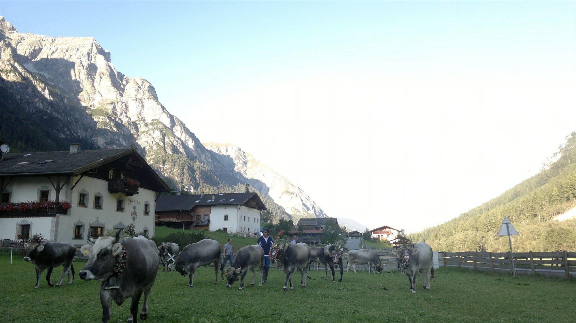 Alfaierhof-Bergheimat Hotell Gschnitz Exteriör bild