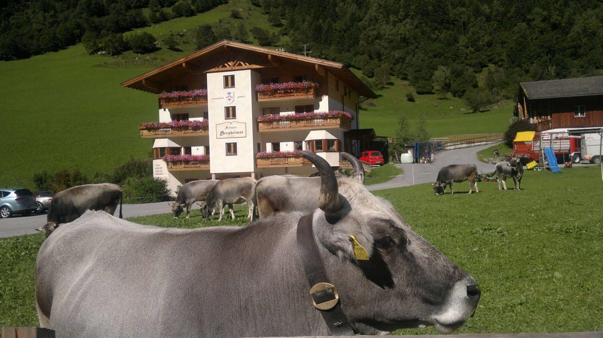 Alfaierhof-Bergheimat Hotell Gschnitz Exteriör bild